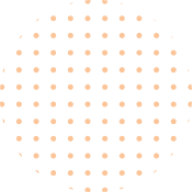 IQ Minds Educational Society